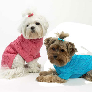 cotton dog sweaters