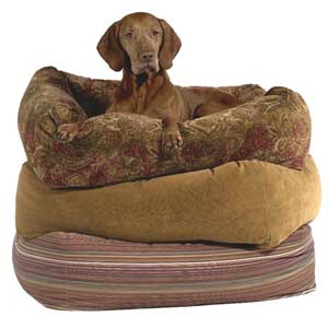 square dog bed