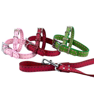 leather dog collar and leash