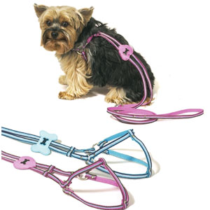 striped ribbon step in harness with interchangeable heart and bone designs