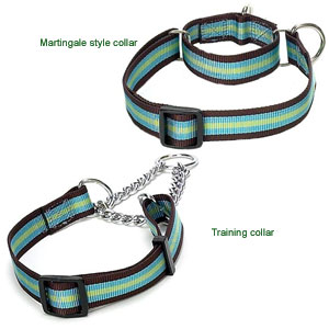 Martingale collar and Martingale training collar