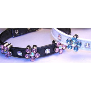 crystal flower dog collar