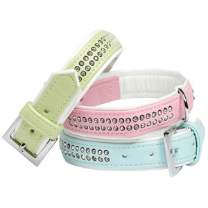 rhiinestone dog collar + leash