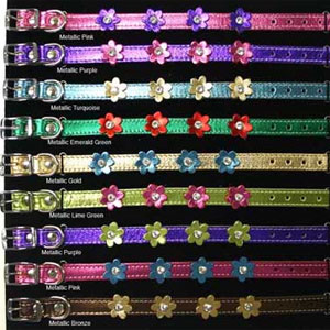 metallic flower dog collar