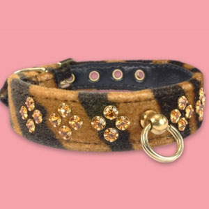 animal print dog collar with rhinestones