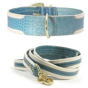 big dog collar & leash