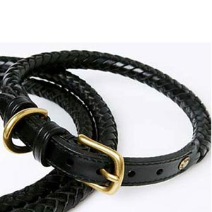 braided leather dog collar & leash