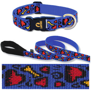 big dog collars: Lupine 1