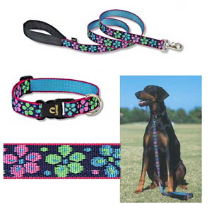 big dog collars: Lupine 1