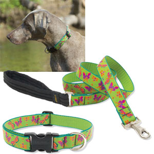 lupine dog leash