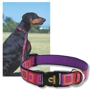 big dog collars: Lupine 1