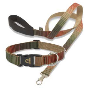 big dog collars: Lupine 1