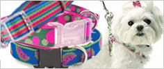Ribbon Small Dog Collars