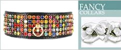 FANCY DOG COLLARS