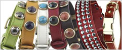 Leather dog collars for small and large dogs