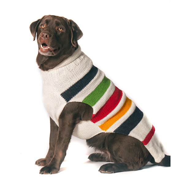 eco friendly dog sweaters