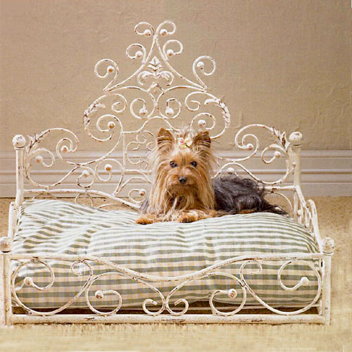 fancy pet beds for dogs