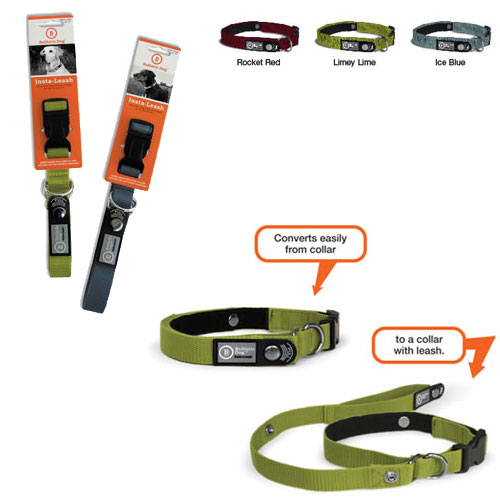leash and collar in one