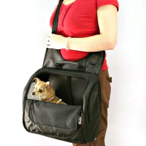 Faa pet outlet carrier