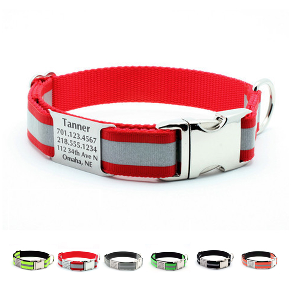 puppy collar with nameplate