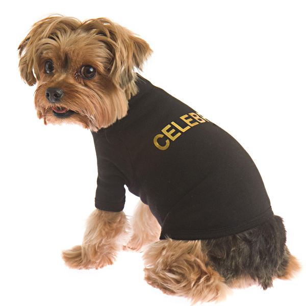 celebrity dog clothes