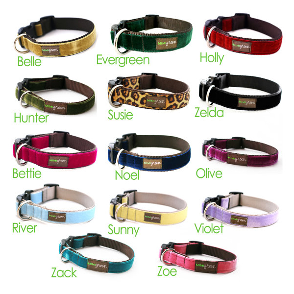 metal buckle dog collar