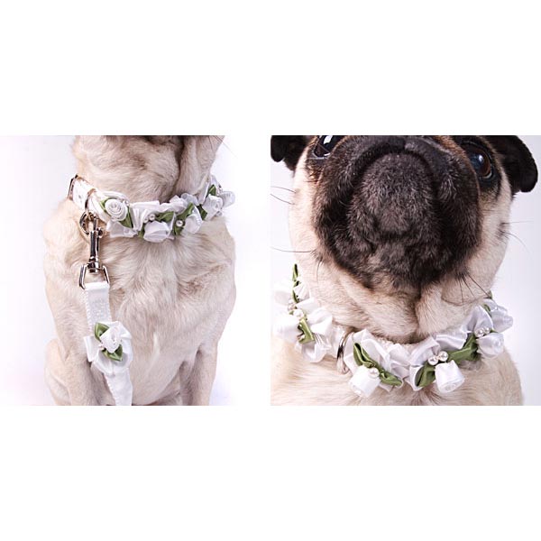 Embellished Ribbon Collar Leash White on White