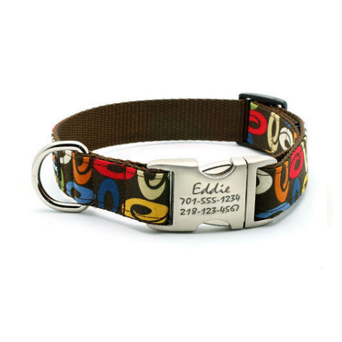 Personalized Engraved Buckle Dog Collar Eddie