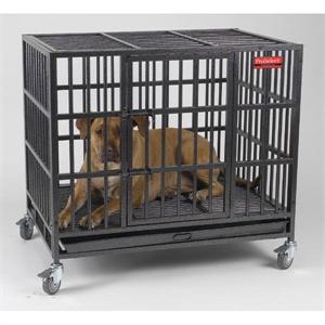 big dog crates