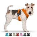 plush step in dog harness