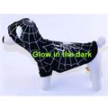 Glow in the Dark Spider