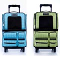 airline approved dog carriers