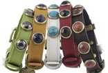 crystal, beaded, studded dog collars
