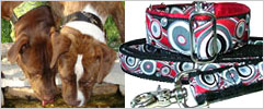 MARTINGALE COLLARS